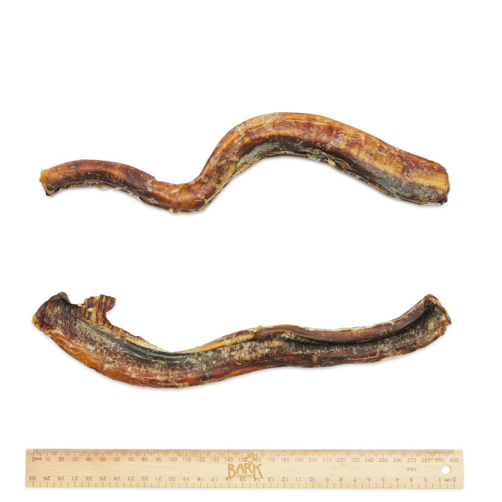 Bark & Beyond Bully Sticks