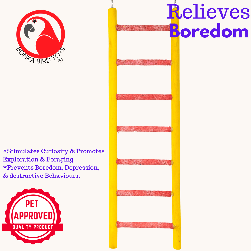 30802 Small 11" Pedi-Ladder