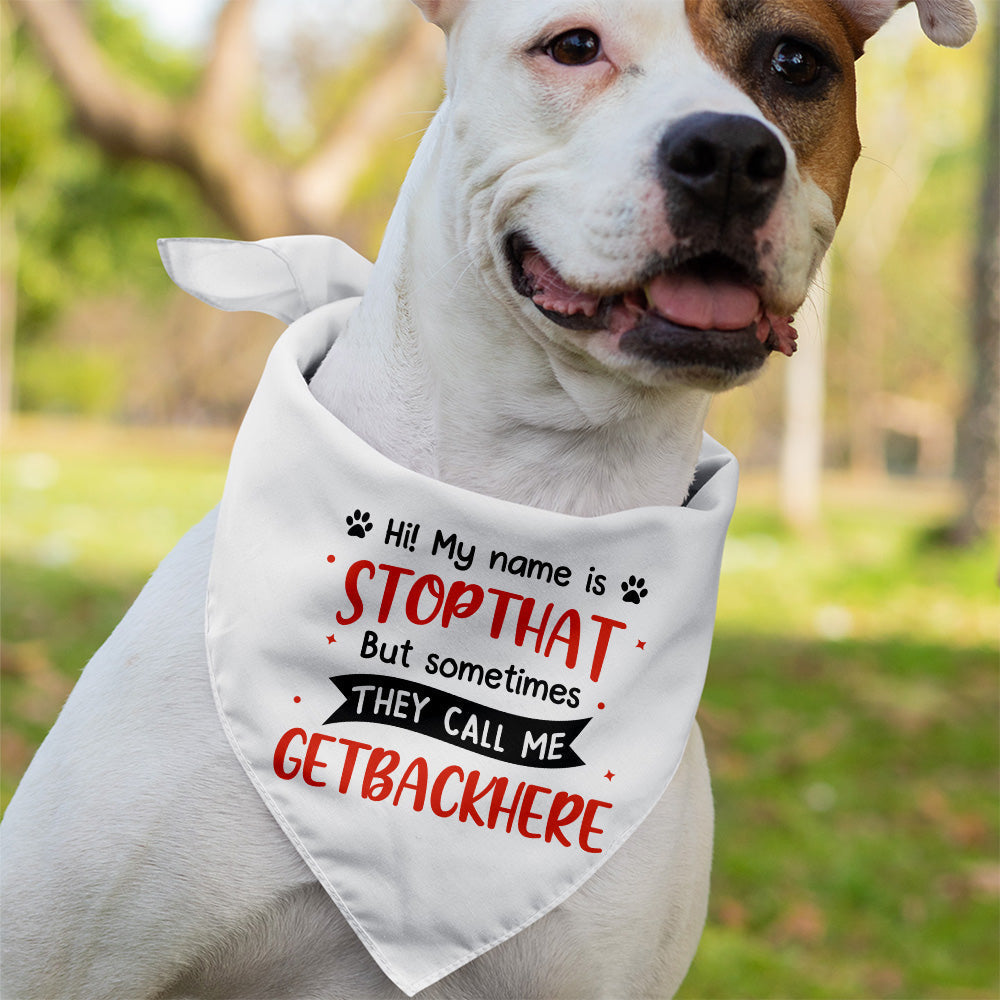 My Name Is Stop That - Dog Bandana