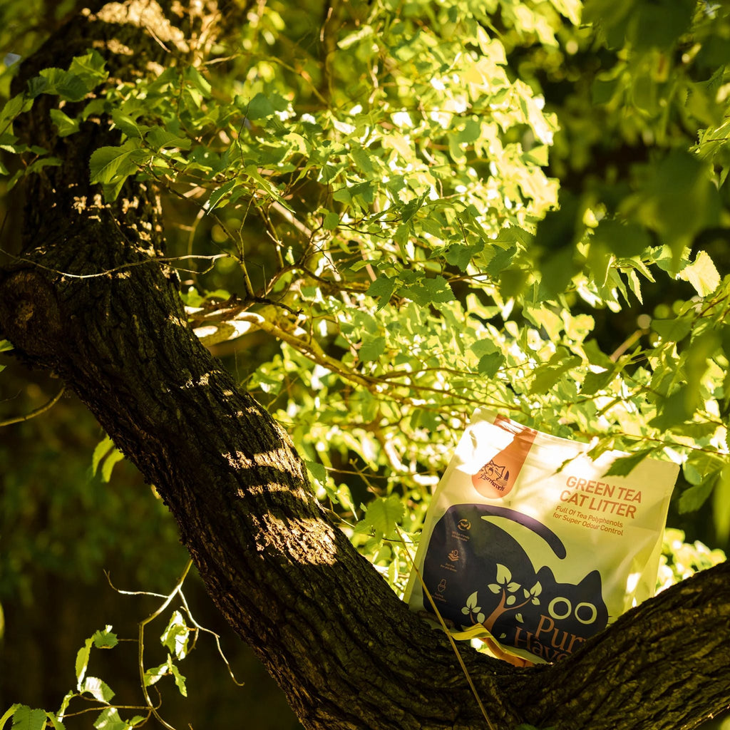 Purr Haven Green Tea Cat Litter