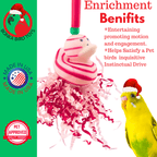 2727 Christmas Candy Cane Duck