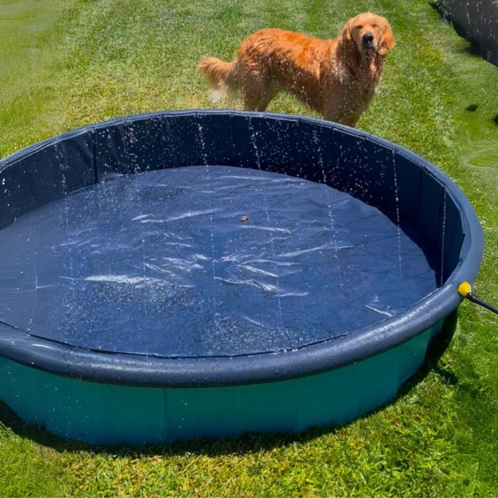 Pet Dog Pool – Folding 2-in-1 Splash Bath Tub