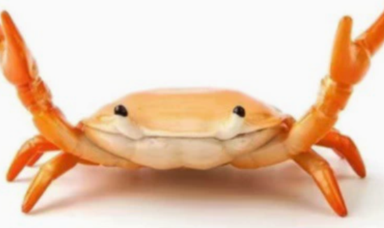 📢🎁Last Day 50% OFF🦀🔥Cute crab-shaped pen holder