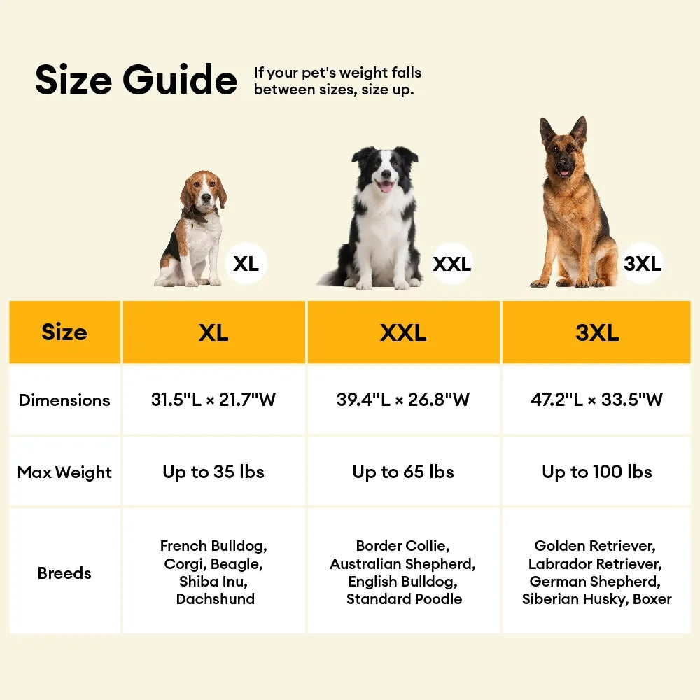 Large Waterproof Orthopedic Bolster Dog Sofa Bed - LuxeNest