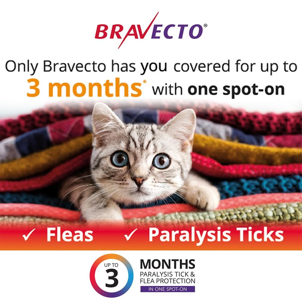 BRAVECTO For Small Cats 1.2-2.8kg 2 Pipettes