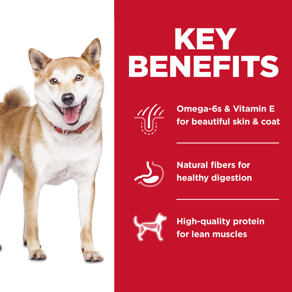 Hill's Science Diet No Corn, Wheat, Soy Chicken Adult Dry Dog Food