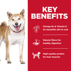Hill's Science Diet No Corn, Wheat, Soy Chicken Adult Dry Dog Food