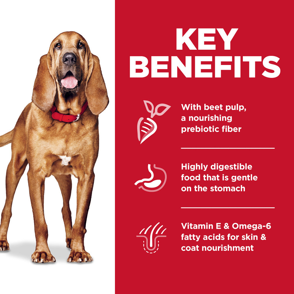 Hill's Science Diet Sensitive Stomach & Skin Chicken Large Breed Adult Dry Dog Food