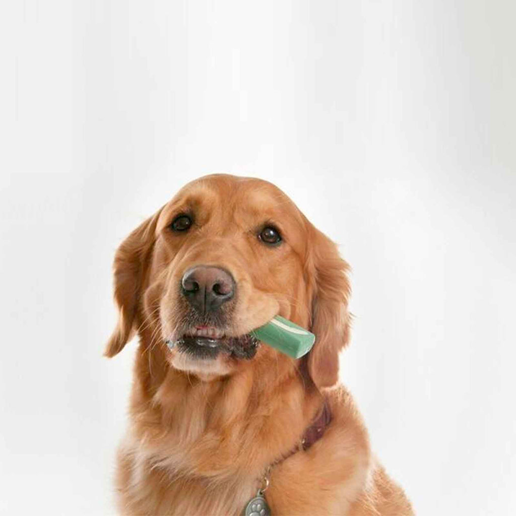 OraVet Dental Hygiene Chews for Large Dogs 23kg and over