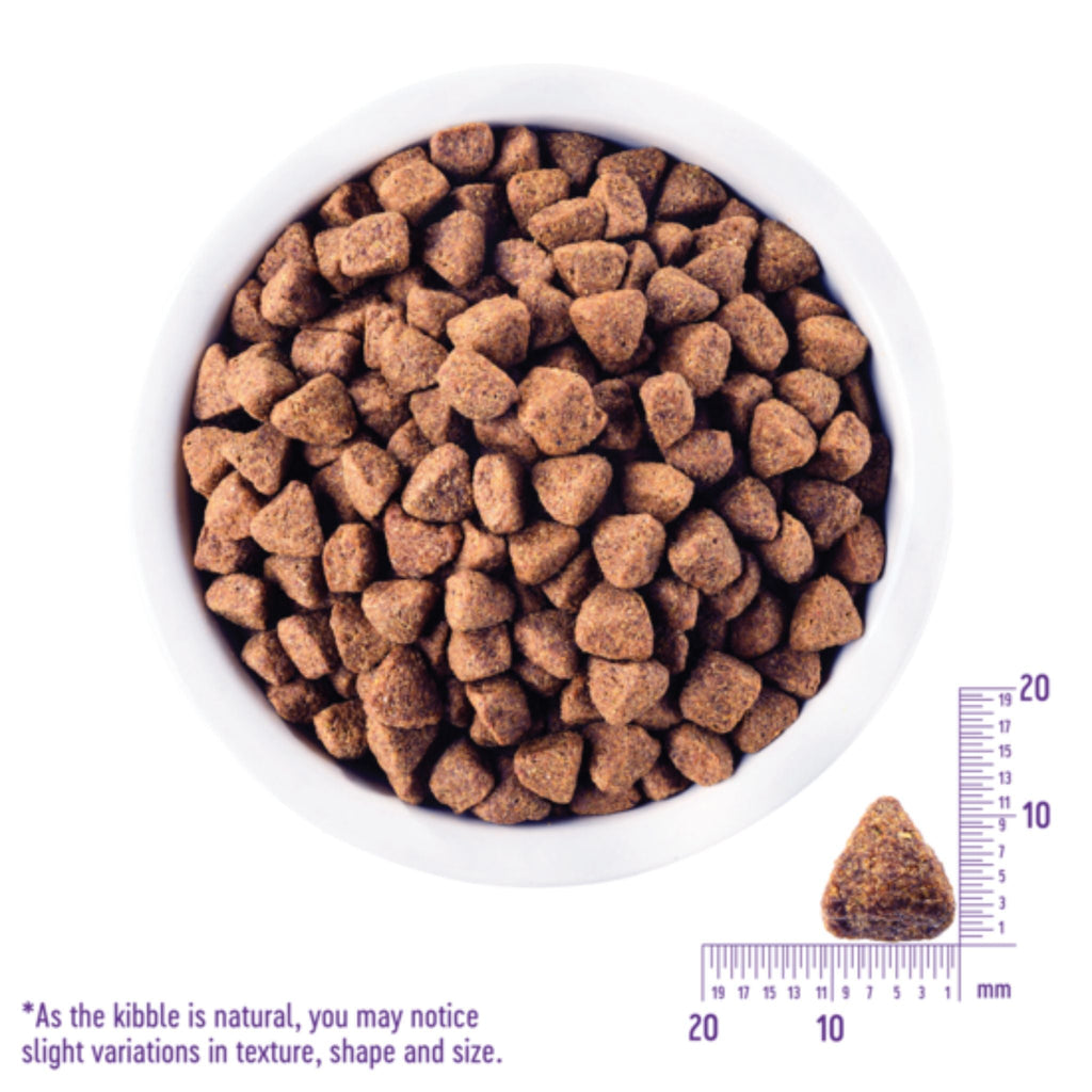 Wellness CORE Wild Game Grain Free Dry Dog Food – Duck, Lamb, Wild Boar & Rabbit