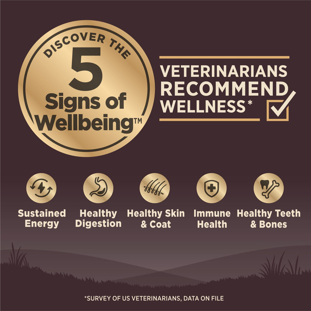 Wellness CORE Wild Game Grain Free Dry Dog Food – Duck, Lamb, Wild Boar & Rabbit