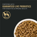 Purina Pro Plan Small Bites Lamb & Rice Formula High Protein, High Energy Dry Dog Food