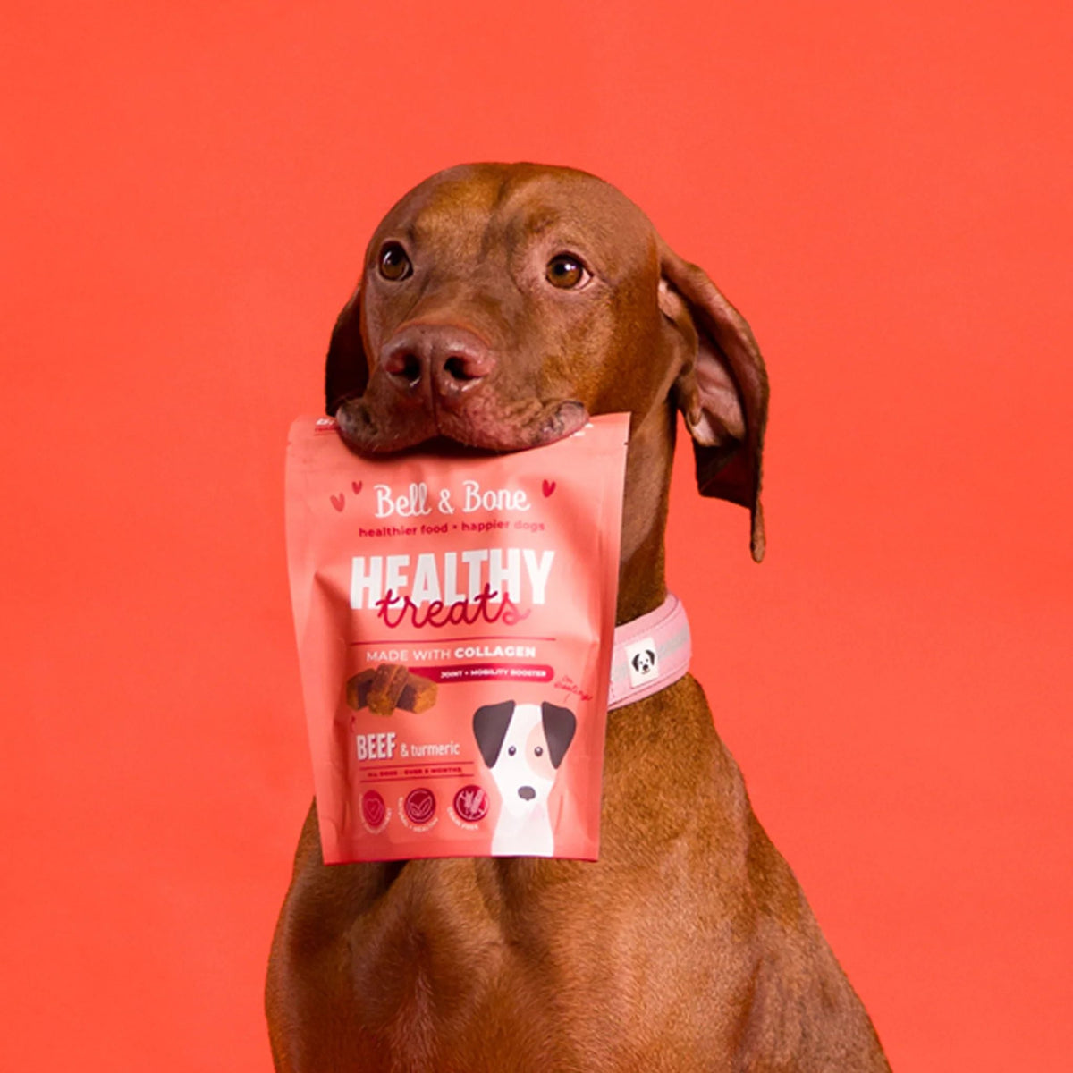 Bell and Bone Healthy Dog Treats Beef & Turmeric for Joint and Mobility Booster