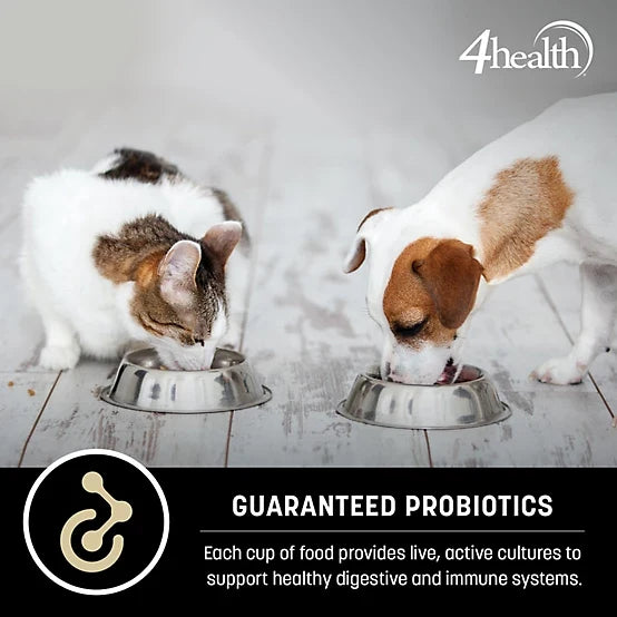 4health with Wholesome Grains Lamb & Rice Formula Adult Dry Dog Food