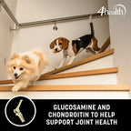 4health with Wholesome Grains Lamb & Rice Formula Adult Dry Dog Food