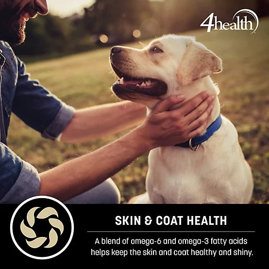 4health with Wholesome Grains Beef & Rice Formula Adult Dry Dog Food