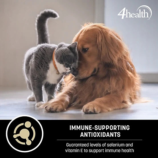 4health with Wholesome Grains Lamb & Rice Formula Adult Dry Dog Food
