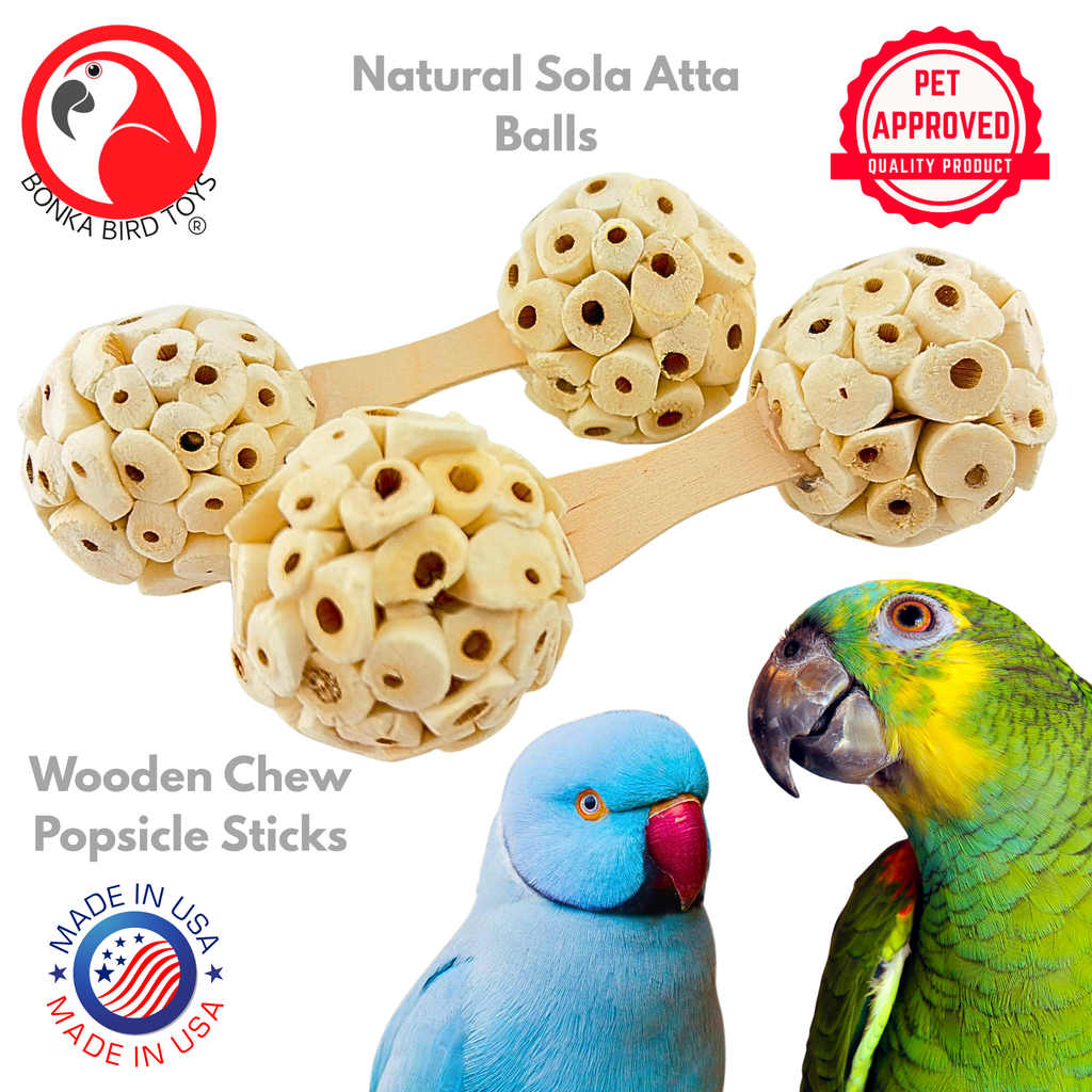 2965 PK2 Natural Sola Dumbbell