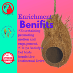 872 Coconut Hut