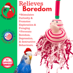 2727 Christmas Candy Cane Duck