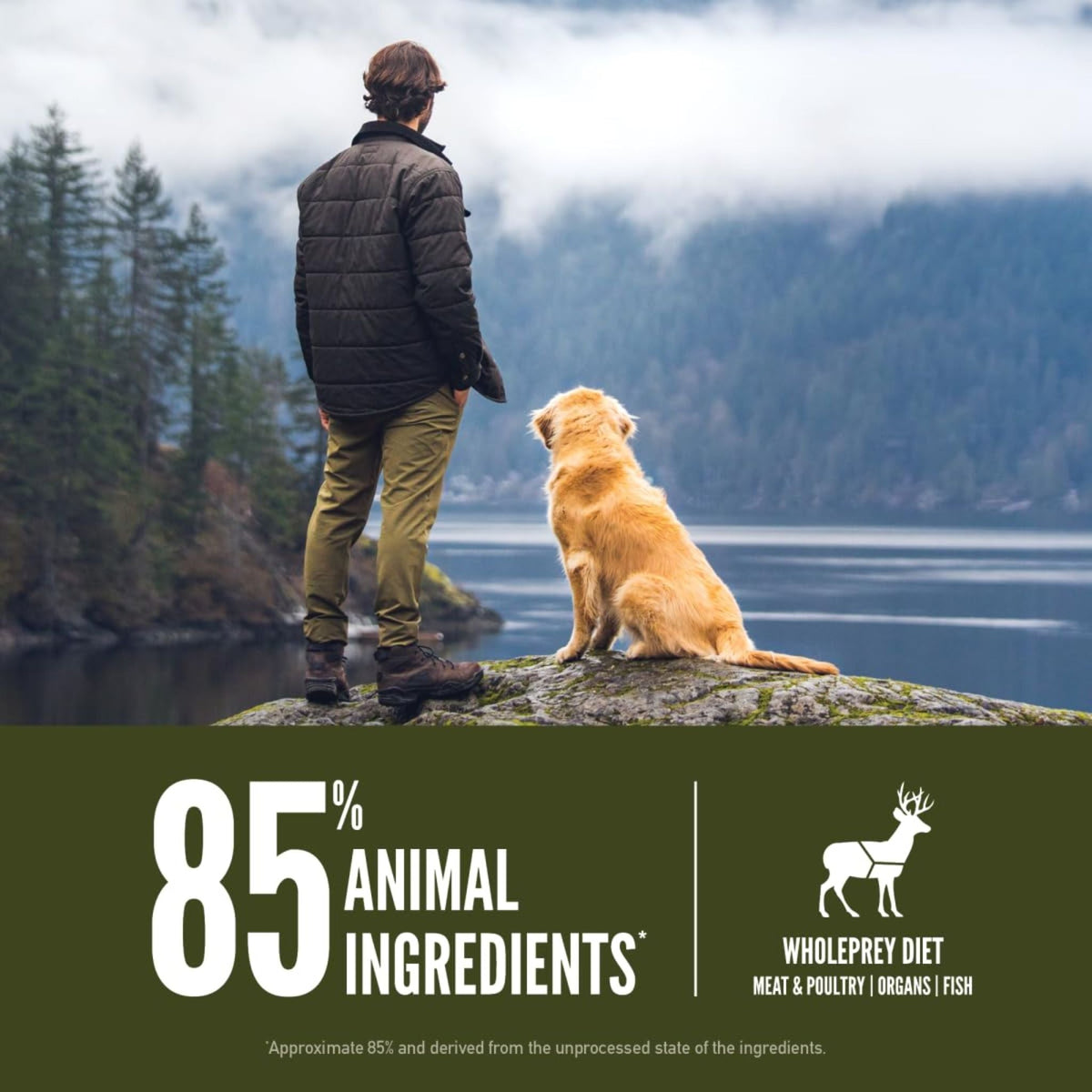 Orijen Tundra Dry Dog Food