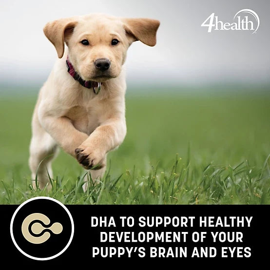 4health with Wholesome Grains Puppy Formula Dry Dog Food, 35lb