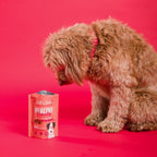 Bell and Bone Healthy Dog Treats Beef & Turmeric for Joint and Mobility Booster