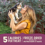 Acana Lamb and Apple Freeze Dried Dog Treats