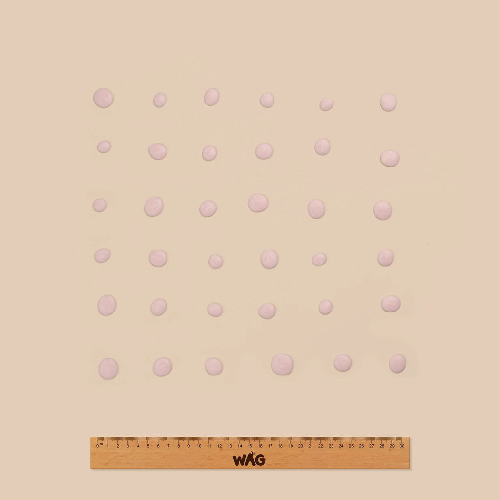 WAG Yoghurt Drops Strawberry