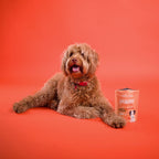 Bell and Bone Healthy Dog Treats Duck & Fibre for Weight and Energy Support
