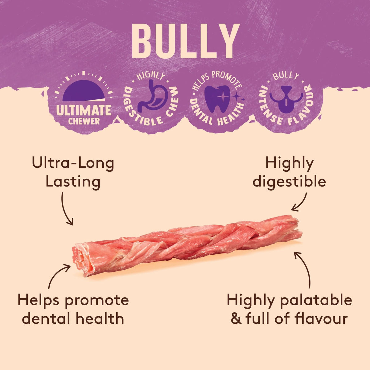 WAG Braided Bully Stick