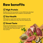 Animals Like Us Dog Food RawMix33 with Grass-Feed Lamb