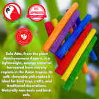 2638 Pk12 Thin Colored Sola Sticks