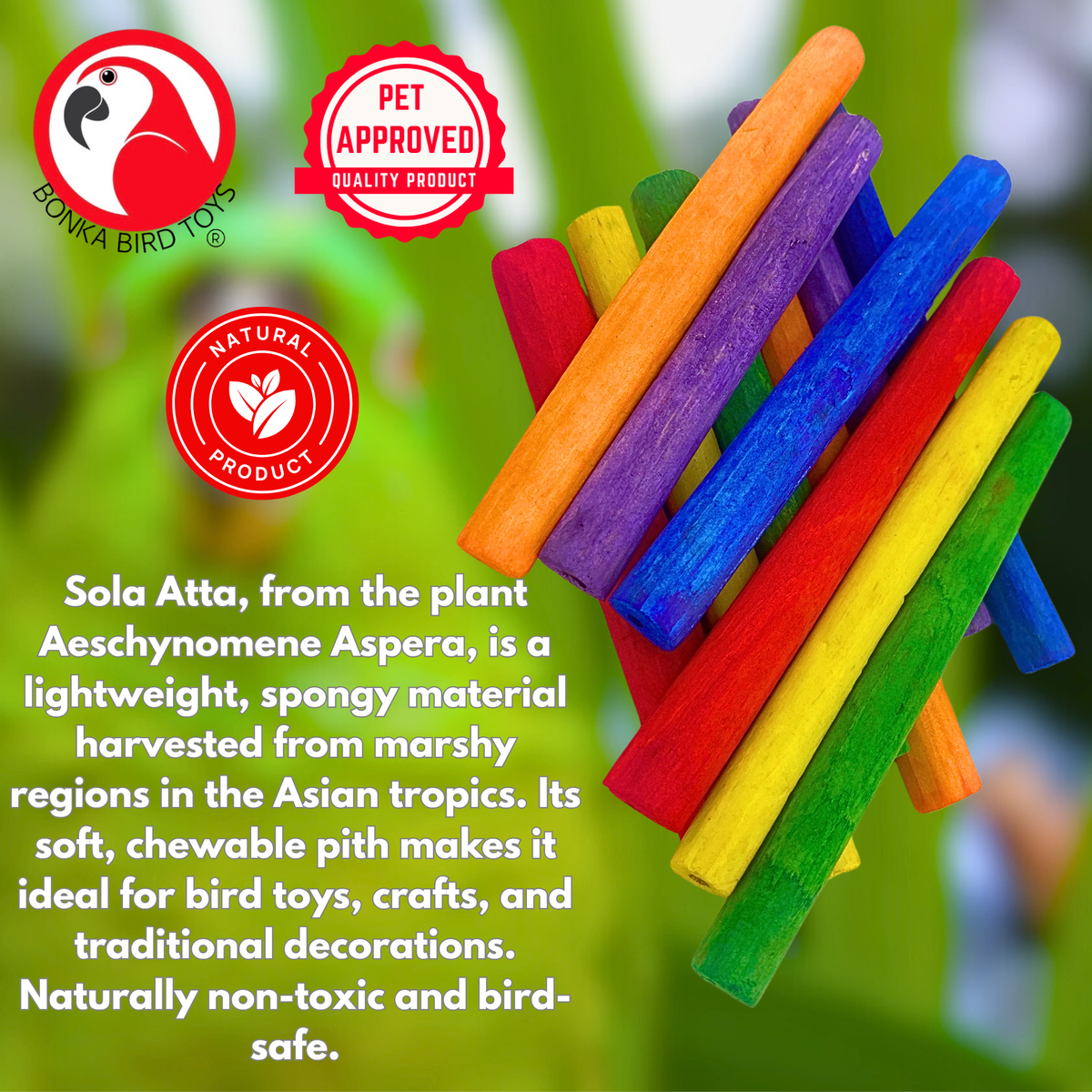 2638 Pk12 Thin Colored Sola Sticks