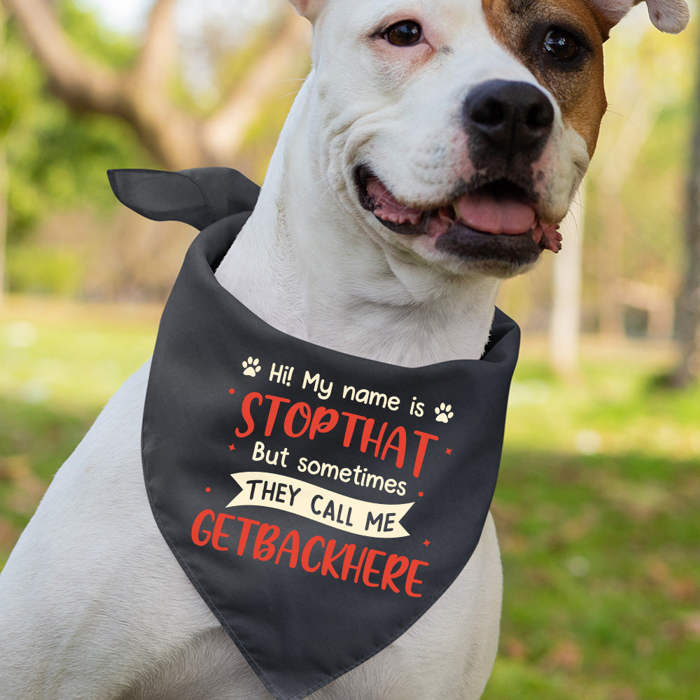 My Name Is Stop That - Dog Bandana