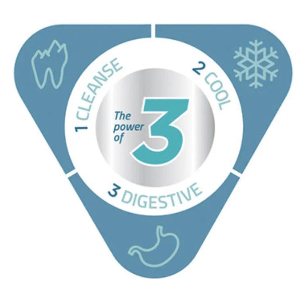 Virbac Veggiedent Fr3sh Dental Chews for Dogs