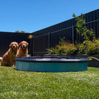 Pet Dog Pool – Folding 2-in-1 Splash Bath Tub