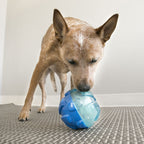 KONG Dog Toys Rewards Ball