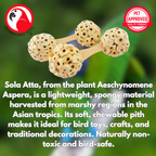 2965 PK2 Natural Sola Dumbbell