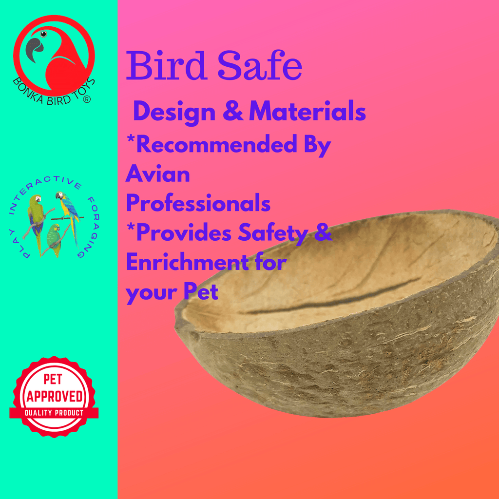 2054 Coconut Cup Flat Base