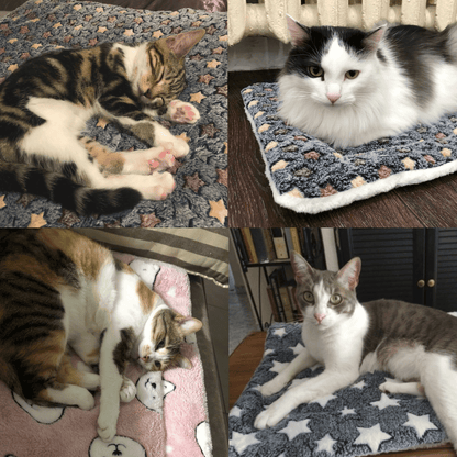 🎅Christmas Sale 50%OFF🐱 Calming Cat Blanket - Anxiety Relief & Ultimate Comfort for Your Feline Friend 🌟