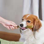 Whimzees Soft Dental Dog Treats