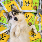 Animals Like Us Dog Food RawMix33 with Grass-Feed Lamb