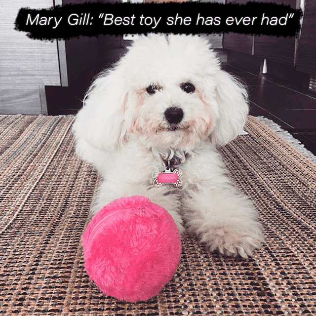 🔥LAST DAY-50%OFF🔥Anti-Anxiety Automatic Moving Ball Dogs And Cat Toys