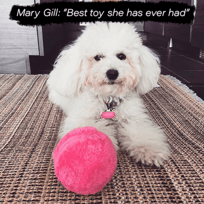 🔥LAST DAY-50%OFF🔥Anti-Anxiety Automatic Moving Ball Dogs And Cat Toys