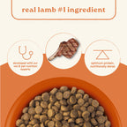 Canidae All Life Stages Dry Dog Food - Lamb Meal & Rice