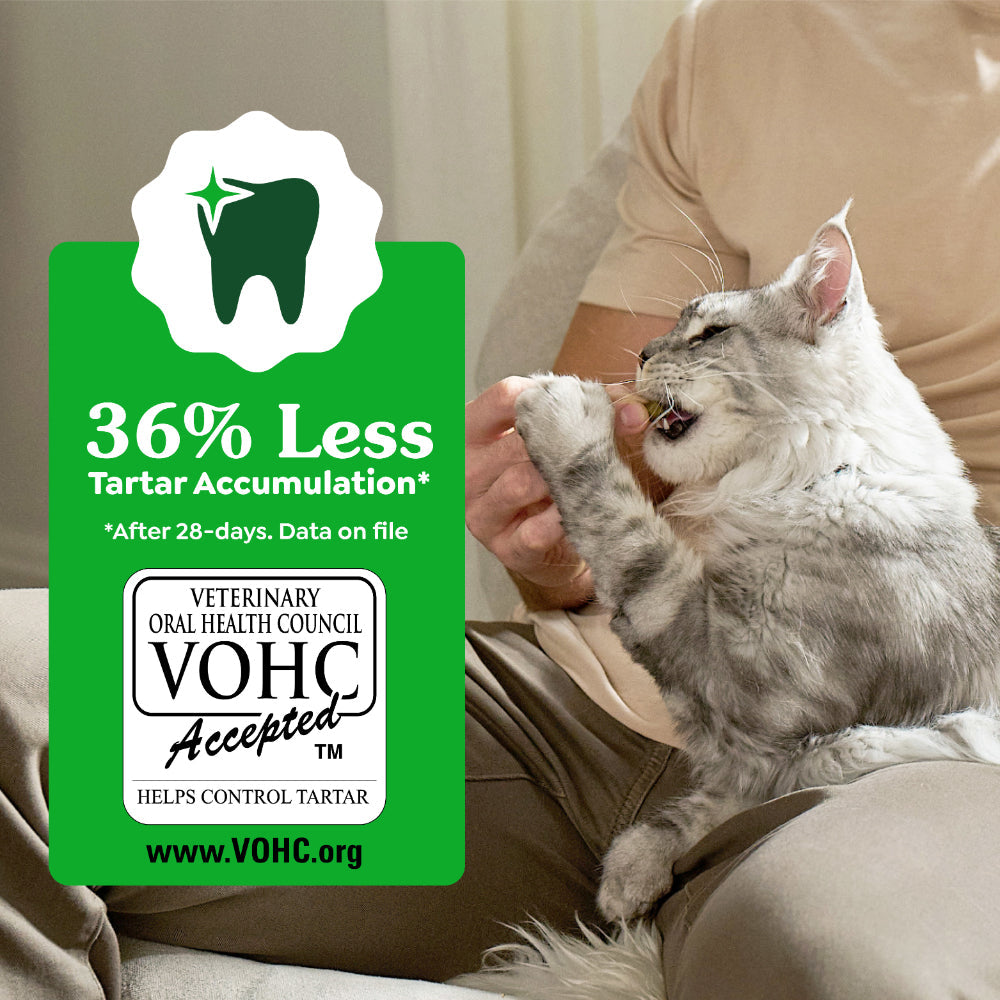 GREENIES Feline Tuna Cat Dental Treats 60g