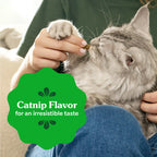 GREENIES Feline Catnip Cat Dental Treats 60g