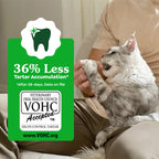 GREENIES Feline Catnip Cat Dental Treats 60g