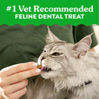 GREENIES Salmon Feline Dental Treats 60g